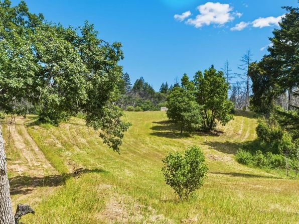 3444 Chicken Ridge Road - Photo 1