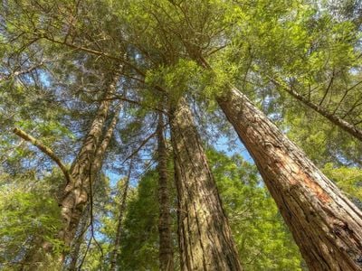 35205 Fly Cloud Road - Photo 1