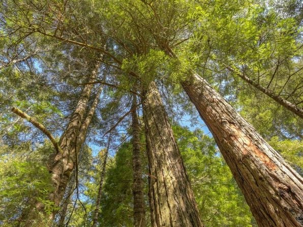 35205 Fly Cloud Road - Photo 1