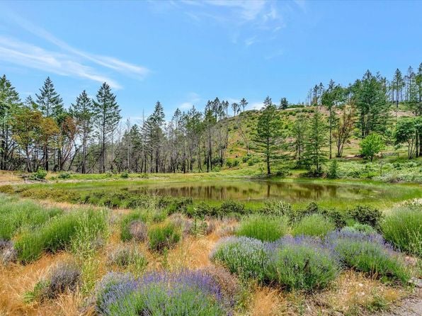 8560 St Helena Road - Photo 1