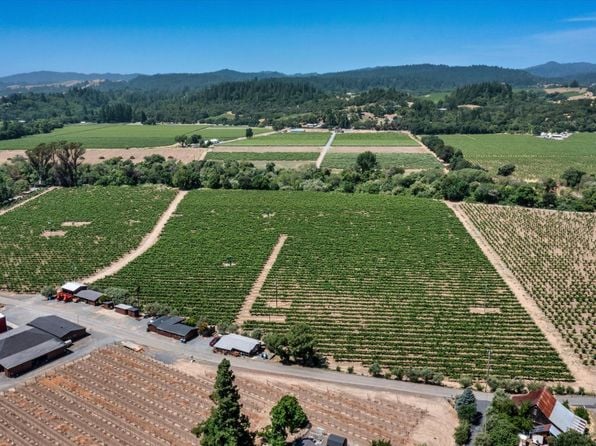 1580 Magnolia Drive - Photo 1