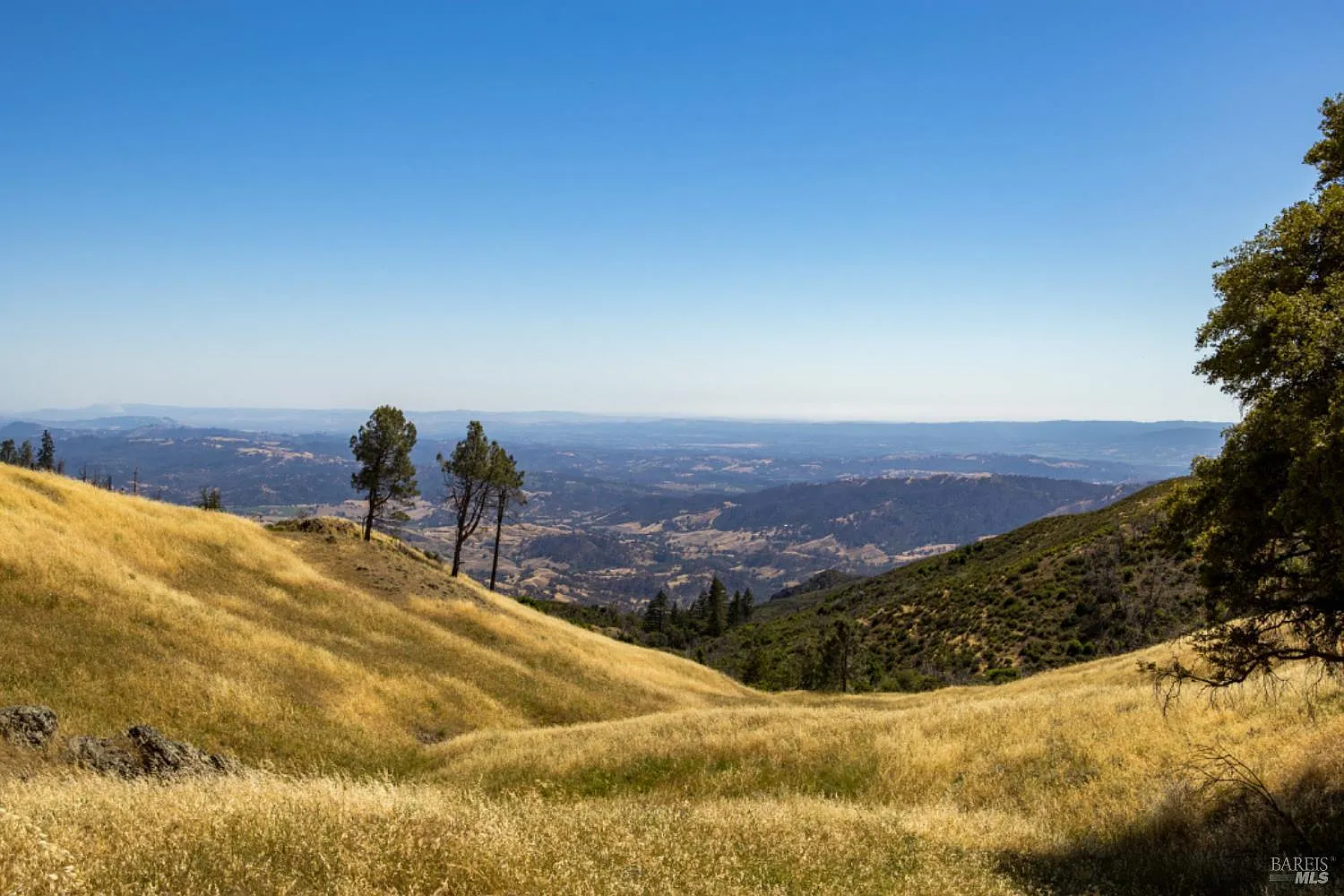 Pine Flat Rd - Photo 1