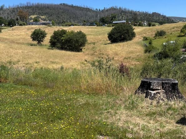 856 Los Alamos Rd - Photo 1