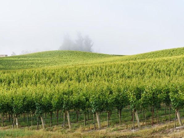 5215 Blank Road - Photo 1