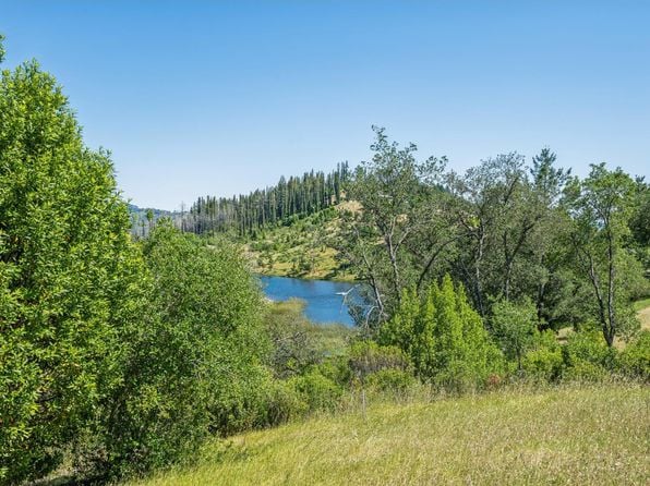 4665 Upper Ridge Road - Photo 1