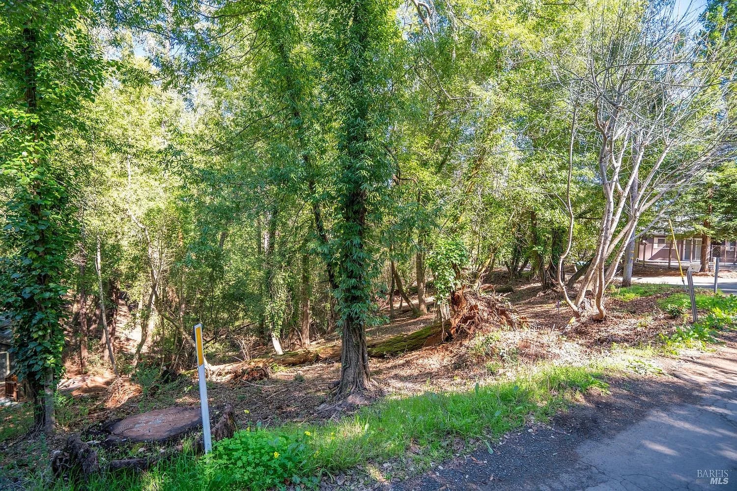 10612 Canyon Road - Photo 1