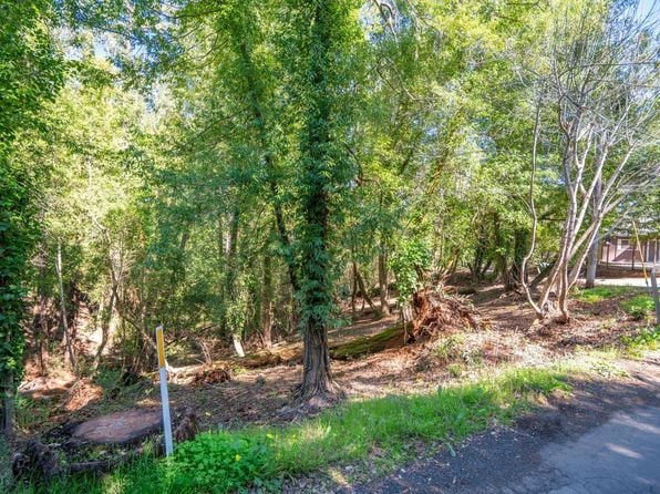 10612 Canyon Road - Photo 1