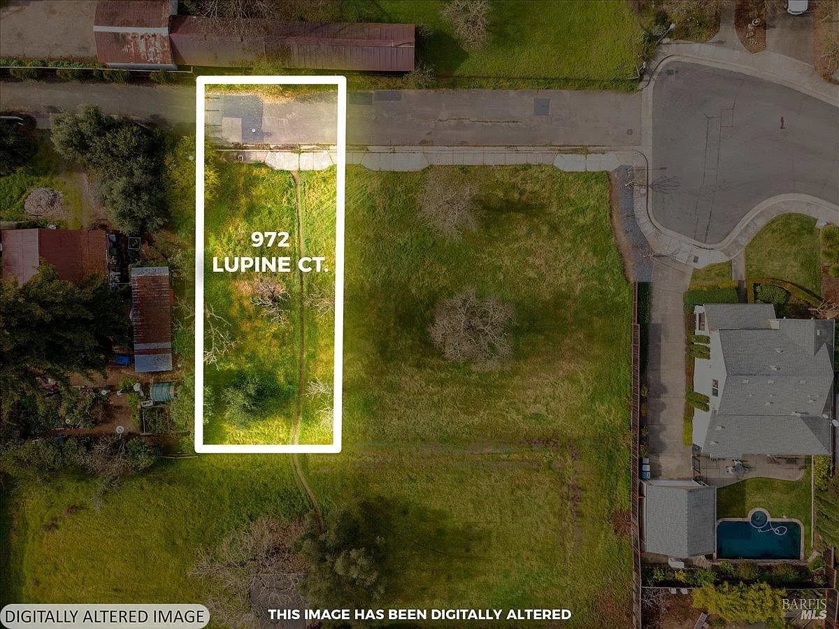 972 Lupine Court - Photo 1