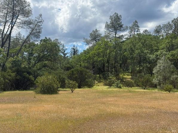23889 Walling Road - Photo 1