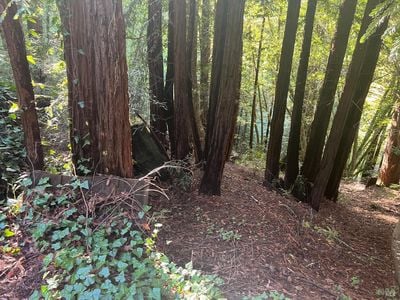 21866 Monte Vista Terrace - Photo 1