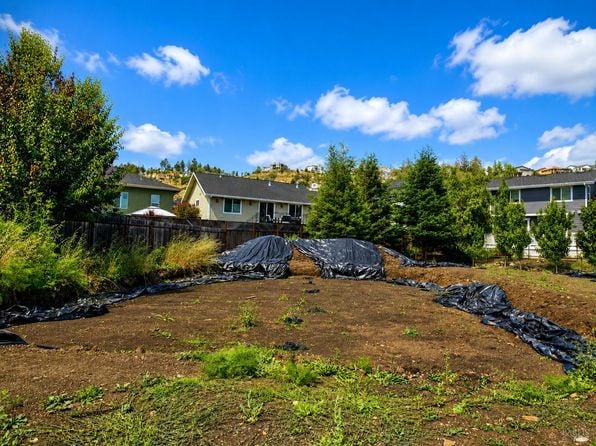 3531 Hidden Pine Court - Photo 1