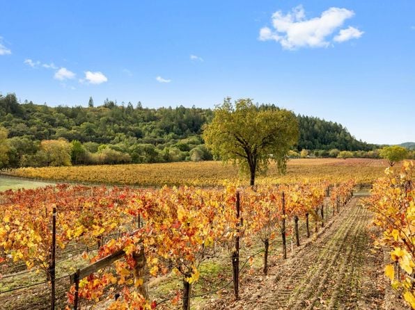 6750 River Road - Photo 1