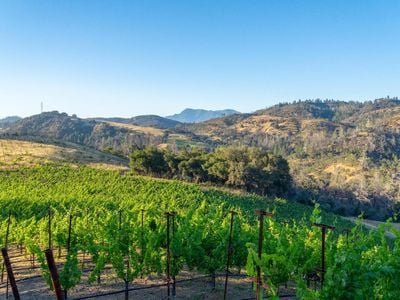 5000 Alpine Road - Photo 1