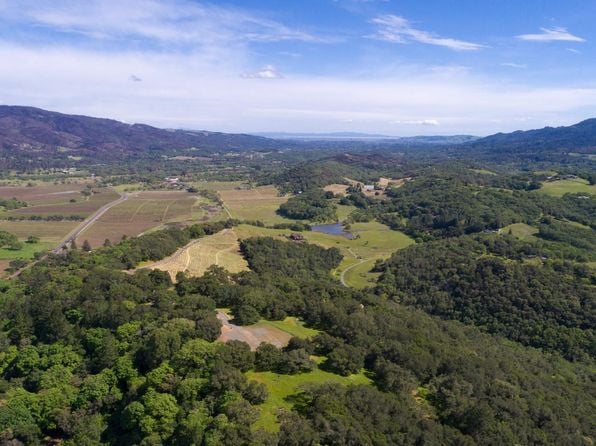 11420 White Fang Glen - Photo 1