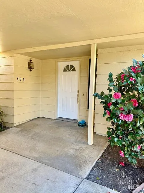 339 Twin Lakes Drive - Photo 1