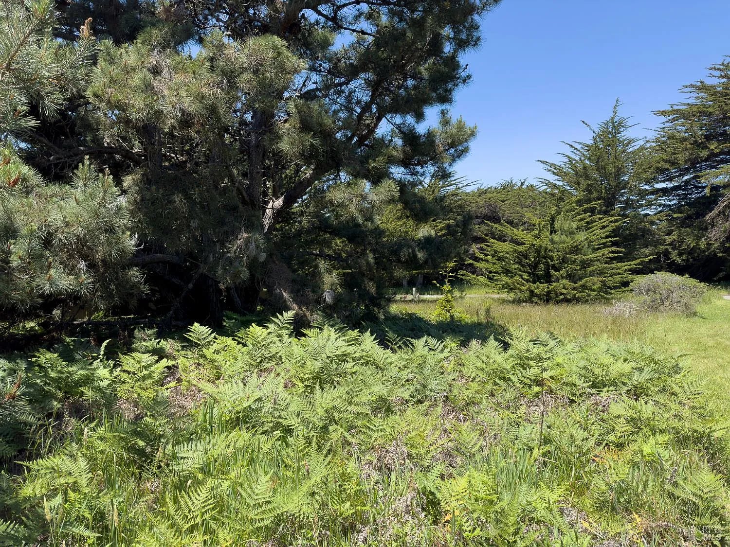 41889 Leeward Road - Photo 1