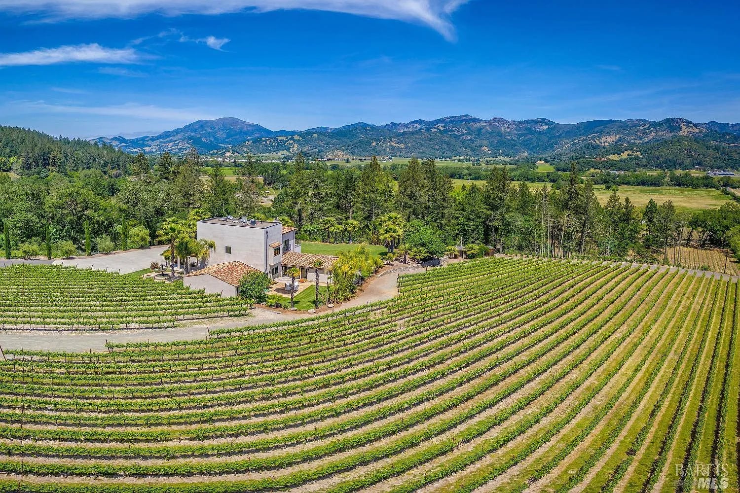 4447 N St. Helena Highway - Photo 1