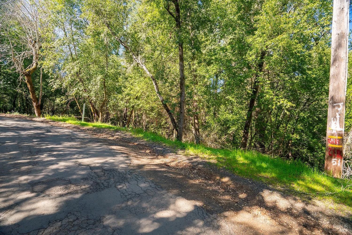 10608 Canyon Road - Photo 1