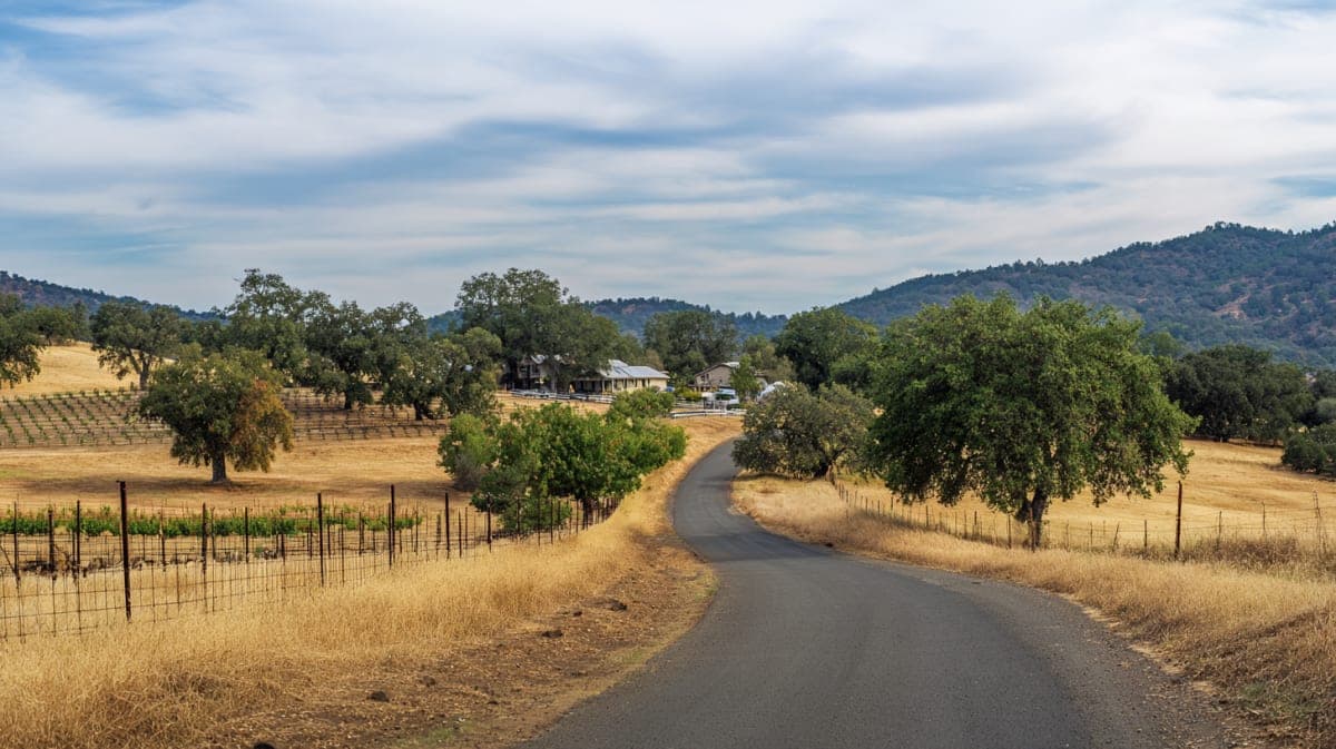 Countryside views in Pope Valley