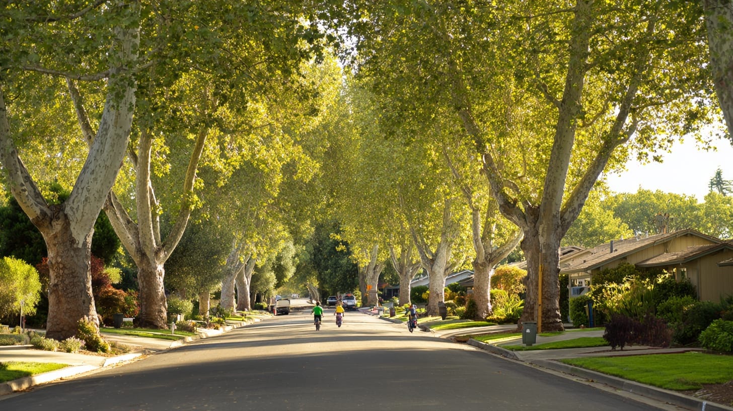 Browns Valley neighborhood in Napa, California